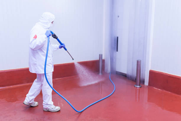 Best Pre-Holiday Cleaning  in Washington Park, FL