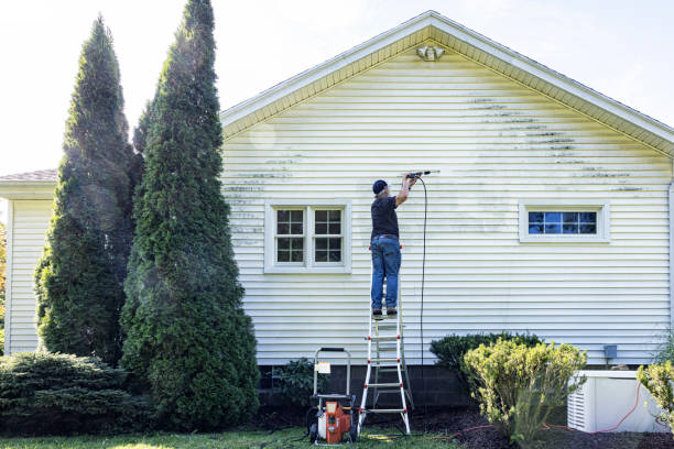 Best Driveway Pressure Washing  in Washington Park, FL